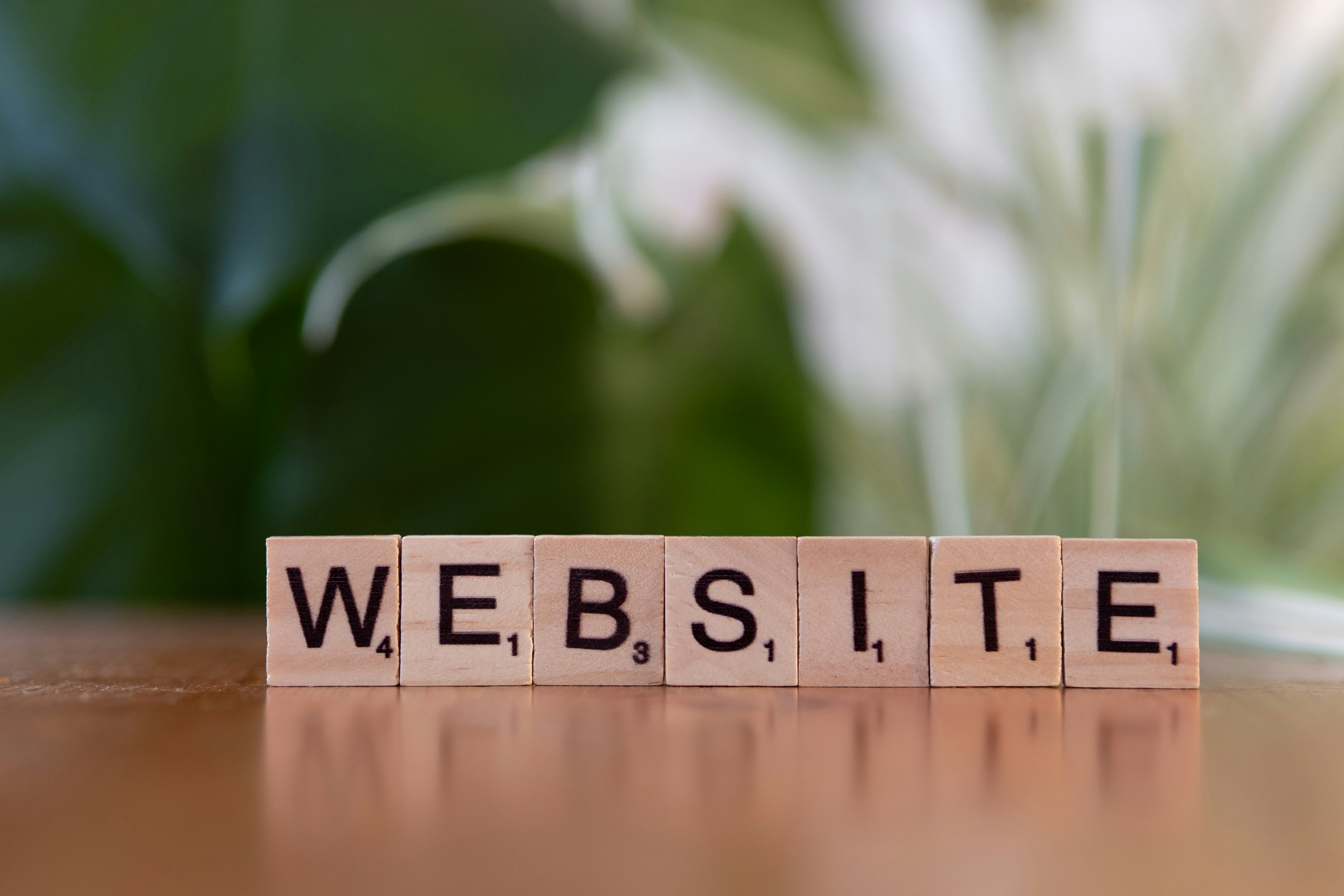 Hello, everyone! Welcome to my new website! 